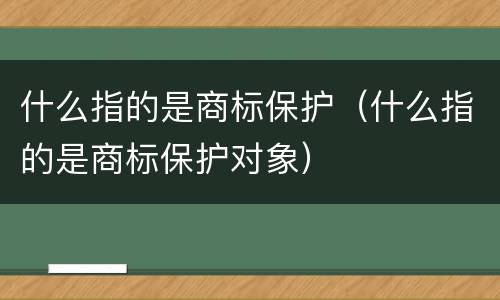 什么指的是商标保护（什么指的是商标保护对象）