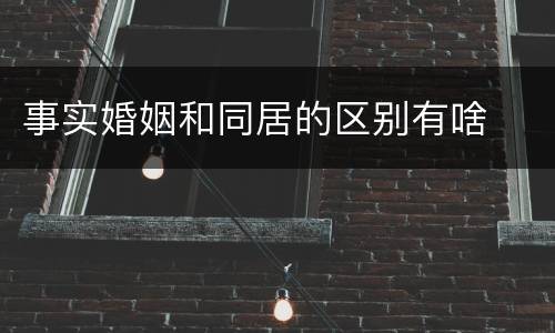 事实婚姻和同居的区别有啥