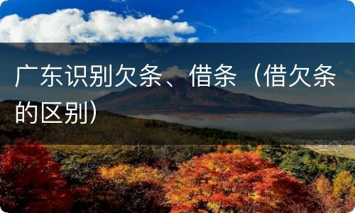 广东识别欠条、借条（借欠条的区别）