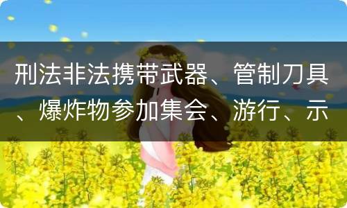 刑法非法携带武器、管制刀具、爆炸物参加集会、游行、示威罪构成要件