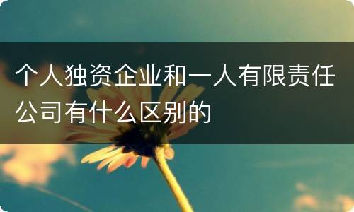 个人独资企业和一人有限责任公司有什么区别的