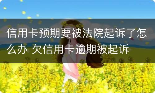 信用卡预期要被法院起诉了怎么办 欠信用卡逾期被起诉