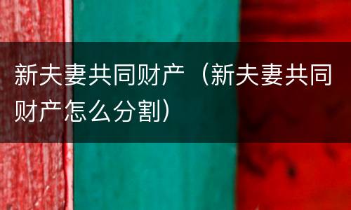 新夫妻共同财产（新夫妻共同财产怎么分割）