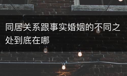 同居关系跟事实婚姻的不同之处到底在哪
