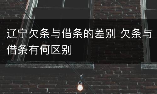 辽宁欠条与借条的差别 欠条与借条有何区别