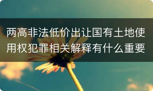 两高非法低价出让国有土地使用权犯罪相关解释有什么重要内容