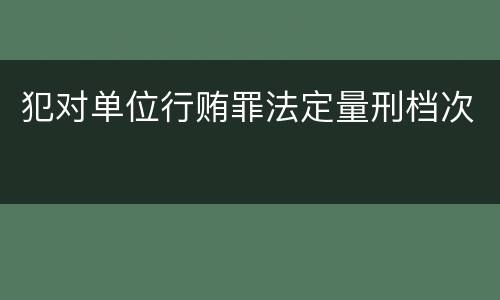 犯对单位行贿罪法定量刑档次