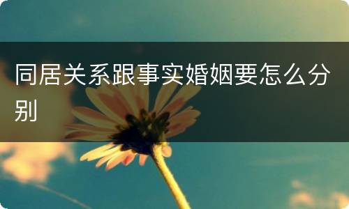 同居关系跟事实婚姻要怎么分别