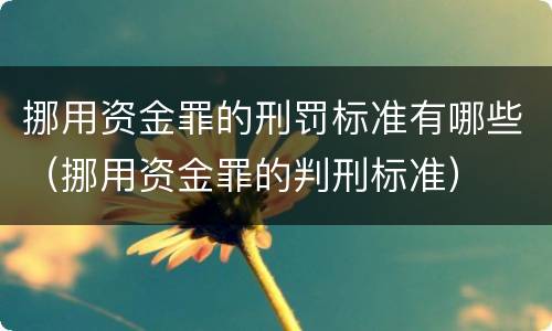 挪用资金罪的刑罚标准有哪些（挪用资金罪的判刑标准）