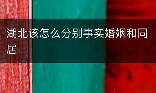 湖北该怎么分别事实婚姻和同居