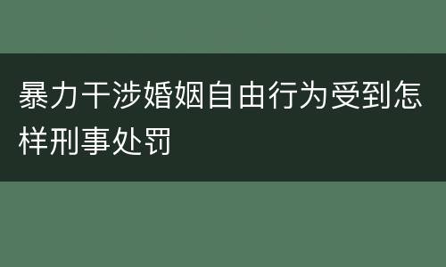 暴力干涉婚姻自由行为受到怎样刑事处罚