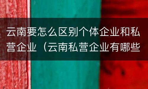 云南要怎么区别个体企业和私营企业（云南私营企业有哪些）