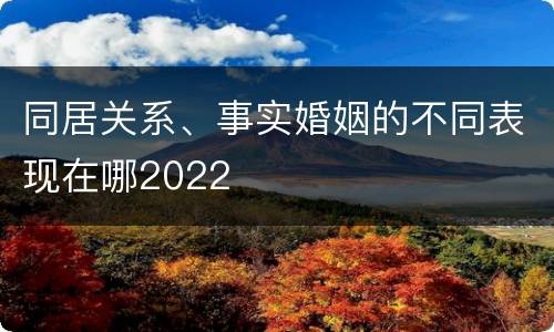 同居关系、事实婚姻的不同表现在哪2022