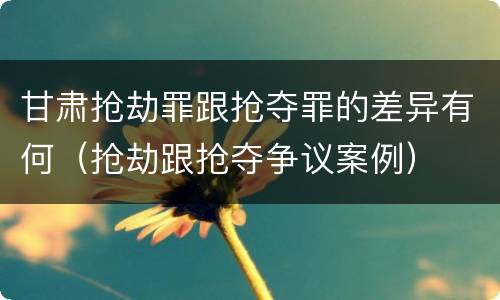 甘肃抢劫罪跟抢夺罪的差异有何（抢劫跟抢夺争议案例）