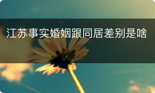 江苏事实婚姻跟同居差别是啥