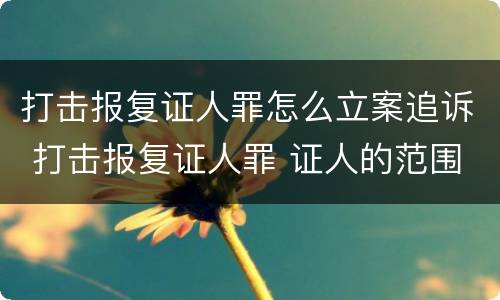 打击报复证人罪怎么立案追诉 打击报复证人罪 证人的范围