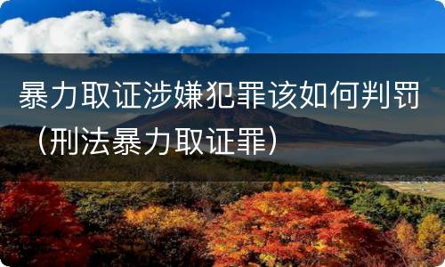 暴力取证涉嫌犯罪该如何判罚（刑法暴力取证罪）
