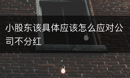 小股东该具体应该怎么应对公司不分红