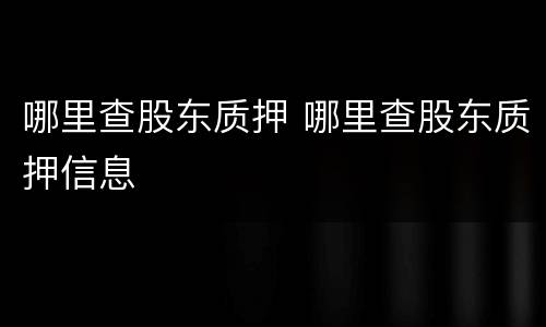 哪里查股东质押 哪里查股东质押信息
