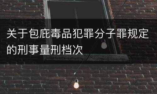 关于包庇毒品犯罪分子罪规定的刑事量刑档次