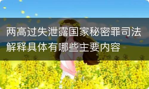 两高过失泄露国家秘密罪司法解释具体有哪些主要内容