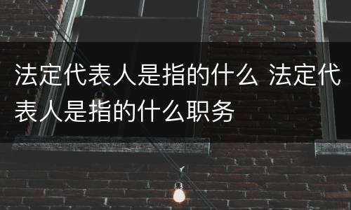 法定代表人是指的什么 法定代表人是指的什么职务
