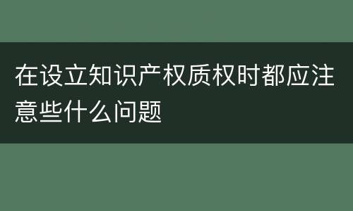 在设立知识产权质权时都应注意些什么问题