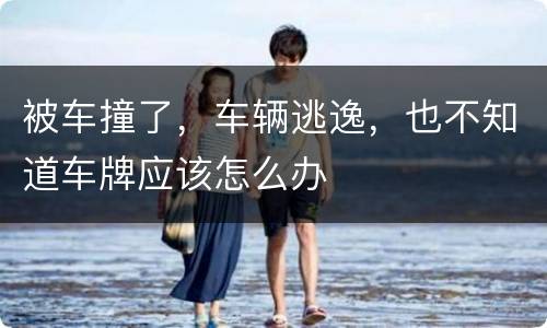 被车撞了，车辆逃逸，也不知道车牌应该怎么办