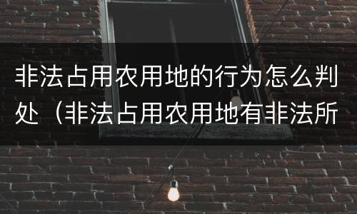 非法占用农用地的行为怎么判处（非法占用农用地有非法所得吗）