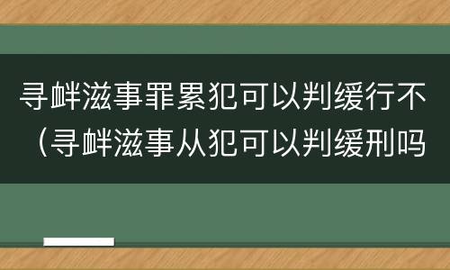 寻衅滋事罪累犯可以判缓行不（寻衅滋事从犯可以判缓刑吗）