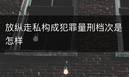 放纵走私构成犯罪量刑档次是怎样