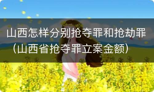 山西怎样分别抢夺罪和抢劫罪（山西省抢夺罪立案金额）