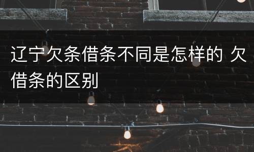 辽宁欠条借条不同是怎样的 欠借条的区别