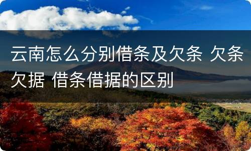 云南怎么分别借条及欠条 欠条欠据 借条借据的区别