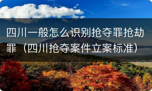 四川一般怎么识别抢夺罪抢劫罪（四川抢夺案件立案标准）