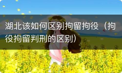 湖北该如何区别拘留拘役（拘役拘留判刑的区别）