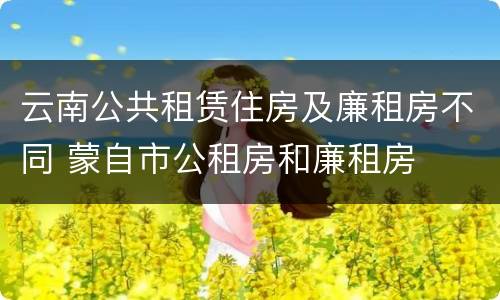 云南公共租赁住房及廉租房不同 蒙自市公租房和廉租房