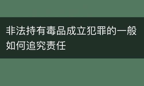 非法持有毒品成立犯罪的一般如何追究责任