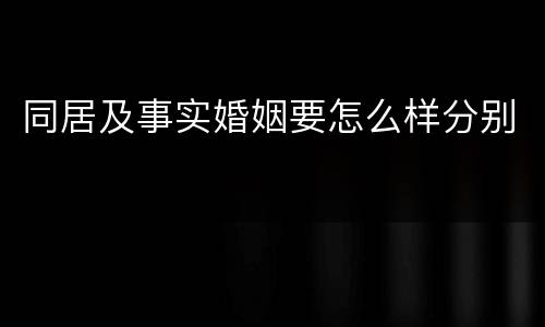 同居及事实婚姻要怎么样分别