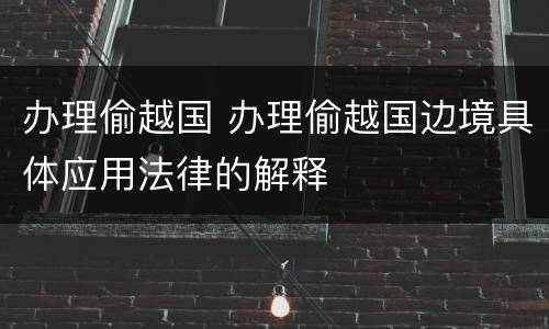办理偷越国 办理偷越国边境具体应用法律的解释