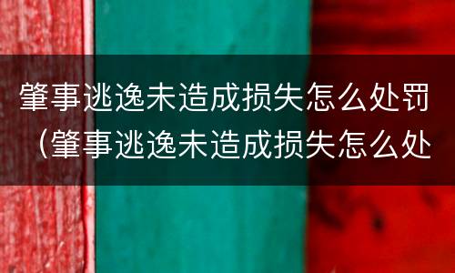肇事逃逸未造成损失怎么处罚（肇事逃逸未造成损失怎么处罚的）