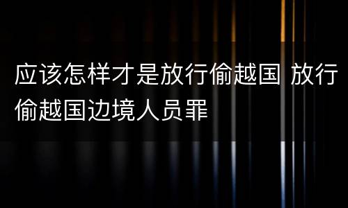 应该怎样才是放行偷越国 放行偷越国边境人员罪