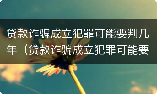 贷款诈骗成立犯罪可能要判几年（贷款诈骗成立犯罪可能要判几年呢）
