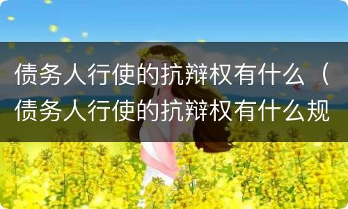 债务人行使的抗辩权有什么（债务人行使的抗辩权有什么规定）