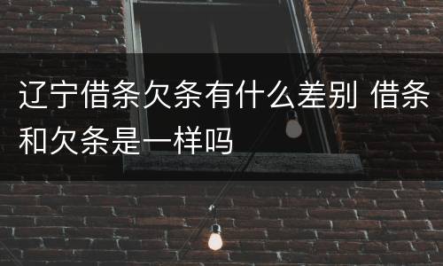 辽宁借条欠条有什么差别 借条和欠条是一样吗