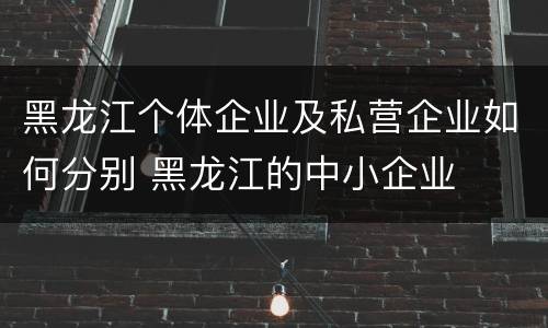 黑龙江个体企业及私营企业如何分别 黑龙江的中小企业