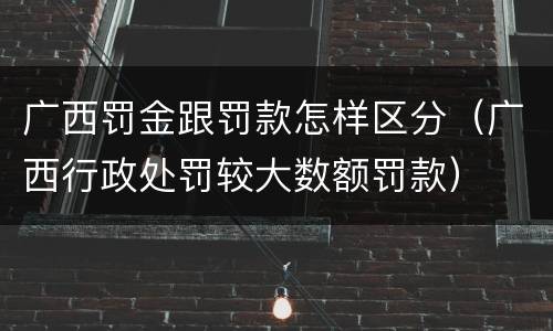 广西罚金跟罚款怎样区分（广西行政处罚较大数额罚款）