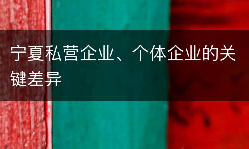 宁夏私营企业、个体企业的关键差异