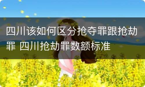 四川该如何区分抢夺罪跟抢劫罪 四川抢劫罪数额标准