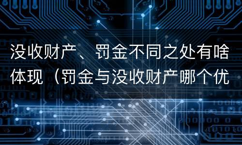没收财产、罚金不同之处有啥体现（罚金与没收财产哪个优先）